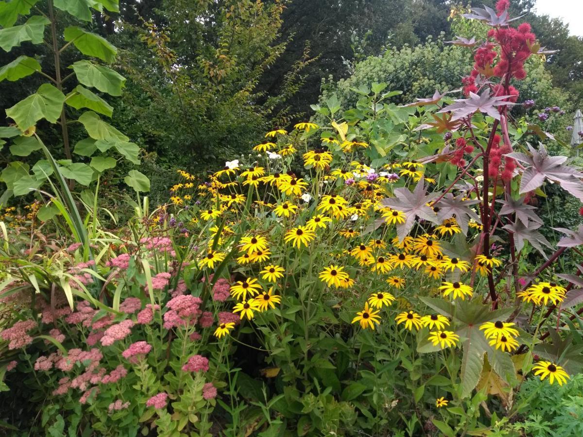 Gites De Lenvos Pontivy Esterno foto